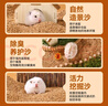乖卷核桃砂倉(cāng)鼠尿沙蘆丁雞龍貓金絲熊祛味除臭墊料木屑兔子造景2.5kg 曬單實(shí)拍圖