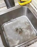 由香里日本管道下水道疏通劑強力油污溶解廚房專用強力溶解廁所馬桶堵塞 飛蟲克星【下水道去除小飛蟲】 1000ml 1桶 曬單實拍圖