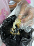 百味殿鮮活熟凍皮皮蝦新鮮蝦爬子瀨尿蝦大號爬爬蝦肉蝦婆富貴蝦燒烤 大號全母帶膏12-15cm 3斤(凈重) 曬單實(shí)拍圖