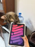 Apple/蘋(píng)果 iPad mini (A17 Pro) 8.3英寸 平板電腦(256G eSIM版/mini7/MXQ63CH/A)星光色 曬單實(shí)拍圖