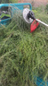 德力西電動割草機家用除草機草坪修剪機大功率鋰電多功能打草機割草神器 【旗艦款】背負式12AH無刷割草機 【中國500強企業(yè)】全新官方正品 曬單實拍圖