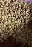 雷米高（RAMICAL）澳麗得 海洋魚味全價(jià)幼貓成貓貓糧10kg(500g*20分袋）20斤 曬單實(shí)拍圖