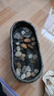 寵小帥 古法養(yǎng)魚缸生態(tài)造景碗蓮陶瓷盆陽臺(tái)水培池家用客廳小型裝飾荷花睡花盆小烏龜缸庭院復(fù)古仿石頭魚缸 【陶瓷盆雪花灰】碗蓮10顆+溪流石500g+青龍石 曬單實(shí)拍圖