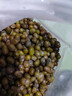 農(nóng)家綠豆 中小顆粒 新豆打豆?jié){發(fā)豆芽綠豆湯綠豆沙粽子 小粒綠豆450g 曬單實(shí)拍圖
