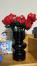 樂高（LEGO）【五月天阿信同款】積木10328 玫瑰花束男孩女孩玩具生日禮物 曬單實拍圖