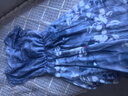 羅蒙（ROMON）連衣裙子雪紡2025新款女裝夏裝遮肚子顯瘦碎花法式35一45長(zhǎng)裙媽媽 圖片色 2XL 130-140斤 曬單實(shí)拍圖