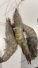 GUO LIAN國聯(lián) 生鮮鹽凍大蝦 無冰凈重3斤 鹽凍特大號45-60只 海產(chǎn)冷凍蝦 曬單實拍圖