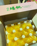 大白桃蒙陰大白桃山東新鮮桃子硬脆桃當季水果脆甜冬桃水蜜桃 奶油白蟠桃【精選大果】--順豐快遞 3斤 曬單實(shí)拍圖
