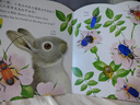 亮麗精美觸摸書-小兔比利（中英雙語）低幼認知繪本 幼兒啟蒙仿真觸感觸摸書 【0-2歲】 寶寶繪本  省錢卡暑假作業(yè) 一升二暑假銜接 小升初暑假銜接 曬單實拍圖