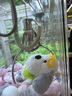 綠聯(lián) 超六類網(wǎng)線 CAT6A類純銅萬兆成品棉網(wǎng)線3米 家用電腦網(wǎng)絡(luò)寬帶8芯雙絞線兼容2.5g工程跳線35802 曬單實拍圖