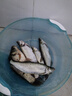 北溟魚(yú)磯釣滑漂夜光魚(yú)漂電子漂遠(yuǎn)投咬鉤變色醒目加粗大物路滑浮漂 日夜兩用咬鉤變色【兩粒電池】 火舞遠(yuǎn)投滑漂B-01 吃鉛約3.5g 曬單實(shí)拍圖