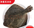 多寶魚(yú)鮮活比目魚(yú)海鮮魚(yú)類批發(fā)大菱鲆鴉片魚(yú)鰈魚(yú)石斑 9兩-1.1斤每條 6條裝 曬單實(shí)拍圖