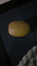 佳沛（zespri）新西蘭 陽光金奇異果12粒禮盒特大果單果約122-146g 獼猴桃 水果 曬單實拍圖