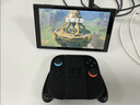 Nintendo Switch【國家補(bǔ)貼15%】任天堂 游戲機(jī) Switch NS港版OLED版游戲主機(jī) 配彩色Joy-Con 便攜游戲掌機(jī) 曬單實(shí)拍圖