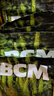 BCM兔草烘干提摩西草 精選提草段荷蘭豬龍貓牧草食用草500g*5包裝 曬單實(shí)拍圖