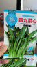 四季播種四九菜心種子菜心種籽耐高溫陽(yáng)臺(tái)盆栽地栽易種植蔬菜青菜 四九菜心種子【5包約7500?！?原廠封裝 曬單實(shí)拍圖