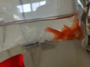 AIPHAROW百褶泰獅冷水金魚精品活魚進口f1紅菠蘿泰師櫻花黑色百褶裙國粹 5-6CM紅色精選百褶泰獅1條 曬單實拍圖