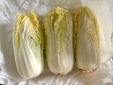 【超市品質(zhì)】新鮮精品娃娃菜現(xiàn)砍現(xiàn)發(fā)小包裝新鮮蔬菜生鮮產(chǎn)地直發(fā) 新鮮娃娃菜1*(3棵)*1包 曬單實(shí)拍圖