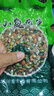 小魚(yú)花生下酒菜開(kāi)袋即食爆款燒烤店小魚(yú)干多味小吃零食 250g*2袋 曬單實(shí)拍圖