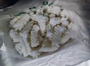 新鮮大魷魚(yú)花5斤裝冷凍墨魚(yú)花目魚(yú)花魷魚(yú)卷海鮮生鮮商用鮮活水產(chǎn) 精品魷魚(yú)花 500克(凈重) 曬單實(shí)拍圖