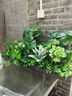 綠道Greenway仿真綠植造景花箱假花組合擺設(shè)景觀戶外植物盆栽隔斷室內(nèi)裝飾陽臺 B100-4 曬單實拍圖