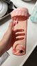 特百惠（Tupperware）茶韻500ML塑料杯男女士學(xué)生夏季運(yùn)動水杯子戶外便攜大容量 奶茶棕 曬單實(shí)拍圖
