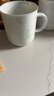景德鎮（jdz）創(chuàng  )意玲瓏馬克杯喝水杯家用早餐杯陶瓷咖啡杯簡(jiǎn)約杯子送禮生日禮物 未來(lái)可期 曬單實(shí)拍圖