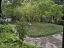 羅技（G）游戲鼠標(biāo)墊桌墊大號加厚電競鼠標(biāo)墊布面細(xì)面鎖邊 WF13B 羅技游戲鼠標(biāo)墊 曬單實(shí)拍圖