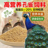 孔雀飼料顆粒食飼料 養(yǎng)殖場(chǎng) 食物小幼苗孔雀吃的雞鴨鵝專(zhuān)用食飼料 5斤裝(細(xì)顆粒)幼苗期 曬單實(shí)拍圖