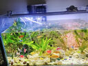 YEE魚(yú)缸過(guò)濾器增氧泵靜音壁掛式外置除油膜小型迷你凈水器循環(huán)水泵 8W強(qiáng)效過(guò)濾/除油膜款/適用于50cm以下魚(yú)缸 曬單實(shí)拍圖