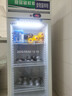 啟盟商廚冷藏保鮮幼兒園食品留樣柜帶鎖餐廳食堂家用小冰箱商用展示留樣柜 53*53*138cm直冷雙鎖+溫度顯示 曬單實(shí)拍圖