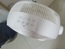 貝昂【以舊換新】空氣循環(huán)扇靜音臥室客廳電風(fēng)扇智能語音風(fēng)扇節(jié)能大風(fēng)力直流變頻家用風(fēng)扇臺式電風(fēng)扇 SF3標(biāo)準(zhǔn) 曬單實拍圖