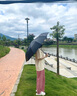 颯望德國全自動雨傘男士超大號加固加厚抗風遮太陽傘晴雨兩用便攜 梧桐米-升級60骨雙人【便攜環(huán)扣+超大抗風】 加固加大【晴雨兩用】9999+ 曬單實拍圖