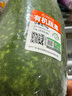 旭耕 有機小冬瓜1kg 新鮮蔬菜  凈菜新鮮蔬菜迷你冬瓜 曬單實(shí)拍圖
