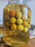古越龍山 紹興糟燒白酒瓶裝 50度 50度 450mL 12瓶 整箱 曬單實拍圖