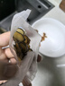 半山農(nóng) 鹿茸 梅花鹿鹿茸片全蠟片5克 男性泡酒藥材 送長(zhǎng)輩滋補(bǔ)營(yíng)養(yǎng)品 曬單實(shí)拍圖