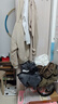 森馬（Semir）連衣裙女翻領(lǐng)燈籠袖休閑風(fēng)2025夏季防曬收腰短裙戶外109325114027 曬單實(shí)拍圖
