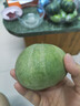 綠寶甜瓜 農(nóng)家果園新鮮現(xiàn)摘小脆香瓜自種當(dāng)季現(xiàn)摘現(xiàn)發(fā)時(shí)令甜水果 3-6個(gè)【含箱3.2斤】 曬單實(shí)拍圖