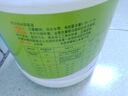 銳神奈爾克84消毒液7.6斤*4/箱果蔬食品用具漂白除菌液家居地面消毒 曬單實拍圖