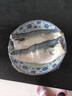 朵芙挪威青花魚(yú) 特大200g/片冷凍鯖魚(yú)凈重鮐鲅魚(yú) 生鮮魚(yú)類(lèi) 海鮮水產(chǎn) 【獨(dú)立包裝】200g/片*5片 曬單實(shí)拍圖