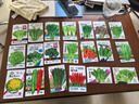 20款不重復四季蔬菜種子種子小蔥種子蔬菜種子組合裝青菜種子混裝 20包優(yōu)質(zhì)良種不重復【廠家直賣】 原廠優(yōu)質(zhì)良種【收芽率高】新店沖 曬單實拍圖