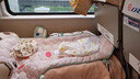 速馳（Suchi）車載嬰兒睡床寶寶長途睡覺車上神器兒童車內(nèi)汽車后排睡墊安全床墊 深海藍(lán)【旗艦款】免充氣一鋪即用 【旗艦款】出行神器-找平墊 曬單實拍圖