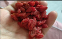 京東京造 特級紅枸杞500g 寧夏中寧免洗紅枸杞子 養(yǎng)生滋補枸杞茶250g*2 曬單實拍圖