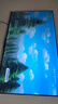 飛利浦（PHILIPS）50英寸4K超高清智慧全面屏 高頻調(diào)光護(hù)眼 遠(yuǎn)場(chǎng)AI語(yǔ)音智能液晶平板電視機(jī)50PUF7590/T3 國(guó)家補(bǔ)貼15% 曬單實(shí)拍圖