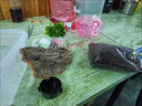 獨角仙成蟲(chóng)甲蟲(chóng)爬寵飼養套餐亞克力透明盒鍬形蟲(chóng)守宮蜘蛛飼養箱 大號套餐 曬單實(shí)拍圖