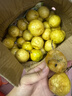 【熱賣款】廣西黃金百香果欽蜜9號新鮮水果當季水果現(xiàn)摘整箱水果 40個裝 單果30g以下 曬單實拍圖
