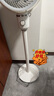 艾美特（AIRMATE）【小暴風(fēng)】空氣循環(huán)扇大風(fēng)量搖頭電風(fēng)扇家用臺(tái)式落地扇升級(jí)加高換氣輕音柔風(fēng)小風(fēng)扇 FA18-X115 曬單實(shí)拍圖