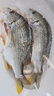 哆鮮生 活凍黃翅魚 野外海捕黃鰭鯛黃腳立魚 三去國(guó)產(chǎn)生鮮冷凍魚類 2-3條/袋 凈重400g 曬單實(shí)拍圖