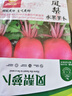 鳳鳴雅世秋冬季蔬菜種孑紅蘿卜菜籽種農(nóng)家種鳳梨蘿卜種子100粒 曬單實(shí)拍圖