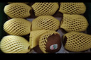 佳沛（zespri）綠奇異果經典果16粒禮盒單果約86-103g 水果 獼猴桃 曬單實拍圖